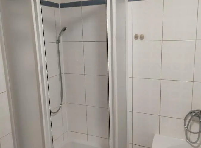Vira Velké Losiny