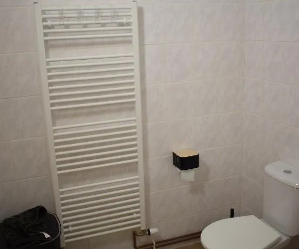 Appartement Vira Velké Losiny